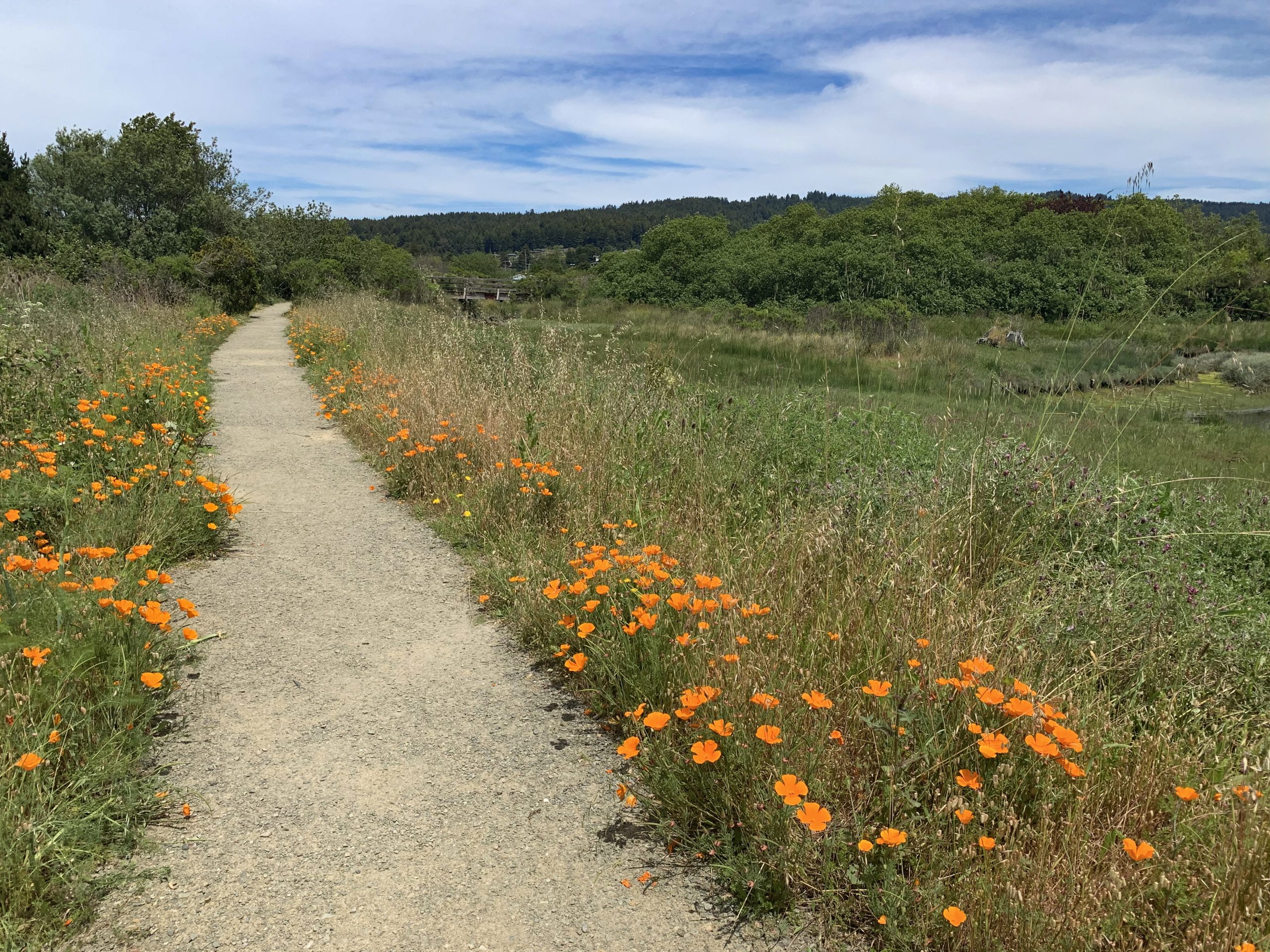 California Trails Survey gathers public input to guide future recreational access in the state