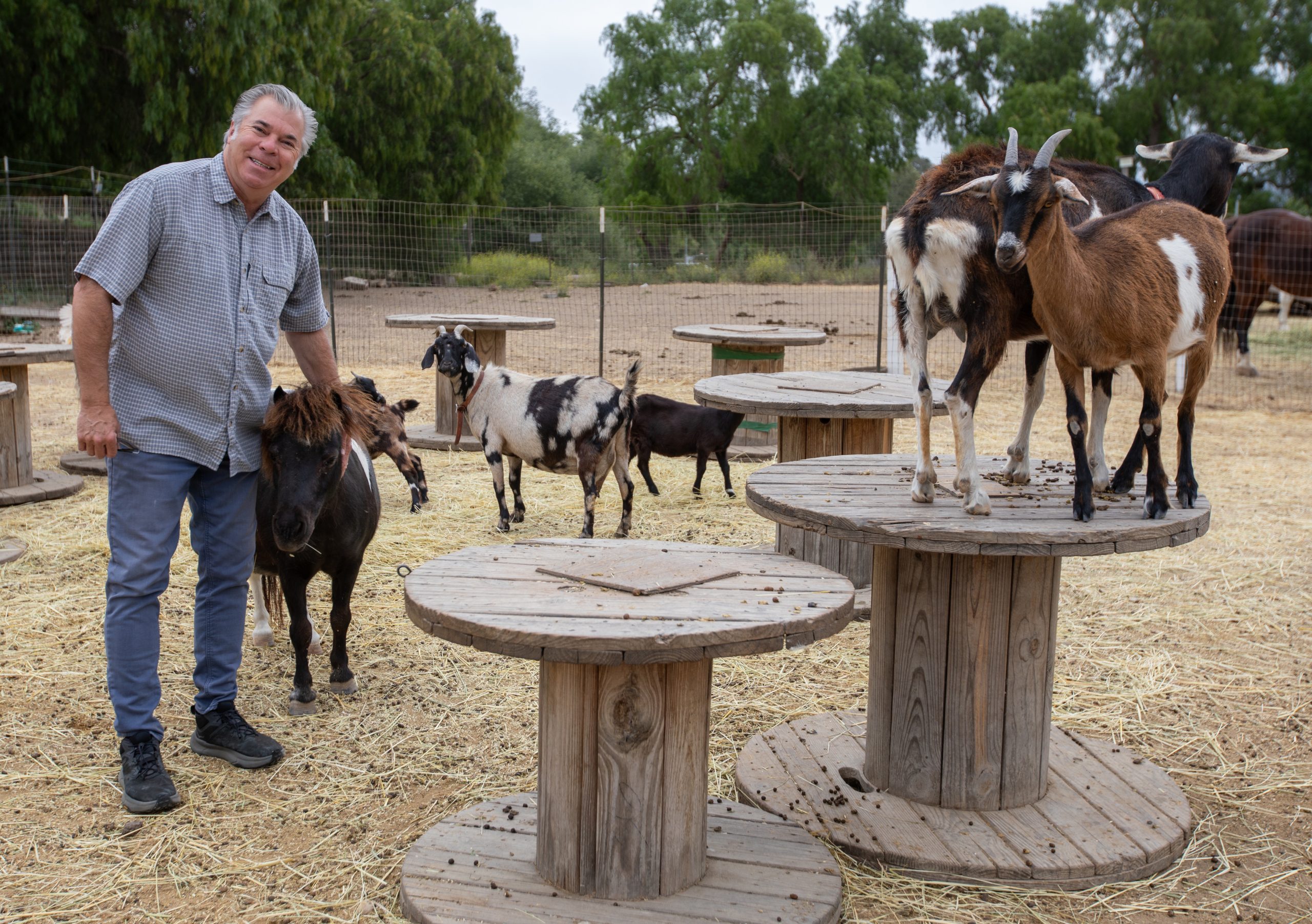 Mounting losses: Horseback ride and petting zoo operator alleges pony's death caused by nearby construction