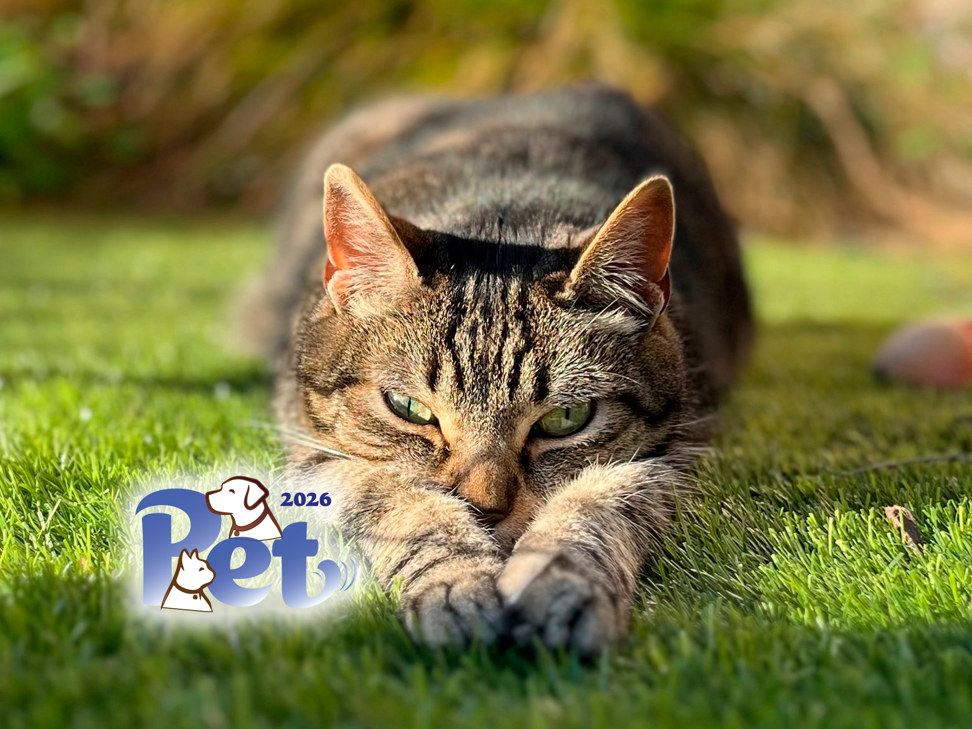 Cuteness ahead: Our annual pet photo contest winners are bound to ease your mind